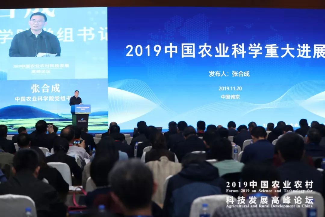  杜塞尔多夫青训成果丰硕，三名新星入选一线队  